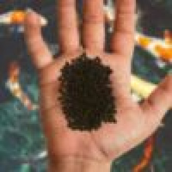 Baby Grower - Colour Booster